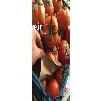 آگهی مشابه حق العملکاری و بارفروشی حاج قاسم صفاپور و پسران در تبریز در گروه حق العمل کاری محصولات کشاورزی و دامداری خدمات کارمزد در یکمیوه