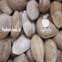 آگهی مشابه فروش بادام سنگی   در تهران در گروه بادام - درختی کوهی زمینی فروش عمده در یکمیوه