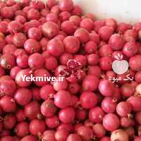 آگهی مشابه فروش انار قرمز صادراتی درجه یک در تهران در گروه خرید فروش عمده انار - ساوه شیراز شیرین ترش در یکمیوه