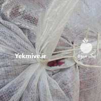 آگهی مشابه فروش لوبیا قرمز در آمل در گروه خرید فروش عمده غلات و حبوبات - لپه عدس نخود لوبیا در یکمیوه