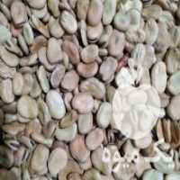 آگهی مشابه فروش کنجد زرد + تخمه آفتابگردان در فاضل آباد در گروه خرید فروش عمده آفتابگردان - تخمه خوی دیم گل در یکمیوه