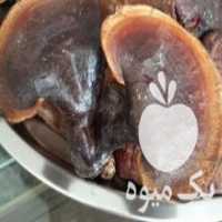 آگهی مشابه فروش قارچ گانودرما در تهران در گروه خرید فروش عمده قارچ - دکمه ای خوراکی دارویی پرورشی کوهی در یکمیوه
