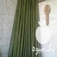 آگهی مشابه فروش چوب بامبو سبز در آمل در گروه خرید فروش عمده چوب- زغال چوب گردو تبریزی خام در یکمیوه