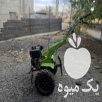 آگهی مشابه فروش تیلر 10 اسب دیانا گازوییلی در کامیاران در گروه خرید فروش ماشین آلات کشاورزی - تراکتور تیلر کمباین مدرن در یکمیوه
