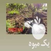 آگهی مشابه فروش لوله 16 غیر استاندارد 22 کیلویی در بلبان آباد در گروه خرید فروش نشا - انواع گوجه برنج کاهو پیاز کاری فرنگی در یکمیوه