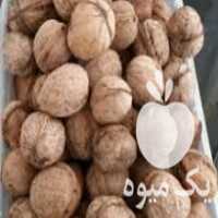 آگهی مشابه فروش گردو نوبران در ساوه در گروه گردو - کاغذی سنگی سوزنی خوشه ای توسرکان در یکمیوه