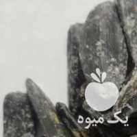 آگهی مشابه فروش تخمه و خرما در تهران در گروه خرید فروش عمده آفتابگردان - تخمه خوی دیم گل در یکمیوه