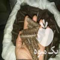 آگهی مشابه فروش کنجاله کنجد و آفتاب و کلزا و بلوط خوراک دام و طیور در مشهد در گروه خوراک دام و طیور - پرواری شیری علوفه یونجه در یکمیوه