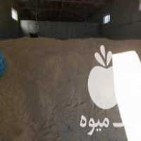 آگهی مشابه خریدار گندم مرغی ،  شکسته در قزوین در گروه خرید فروش عمده گندم و جو - بلغور شیرازی فروش عمده محصول کشاورزی در یکمیوه