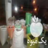 آگهی مشابه فروش انواع حبوبات زیر قیمت بازار در شیراز در گروه خرید فروش عمده برنج - نیم دانه عنبر بو هاشمی کاظمی هندی پاکستانی در یکمیوه