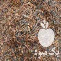 آگهی مشابه فروش پخش چای نادر در قزوین در گروه انواع رب - گوجه انار نارنج خانگی سیب عمده در یکمیوه