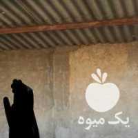 آگهی مشابه فروش گوسفند   کهره بره قوچ چپش  در رفسنجان در گروه گاو و گوسفند و میش و بز کهره گوساله سمینتال در یکمیوه