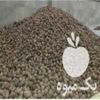 آگهی مشابه فروش گردو تویسرکان همدان در مشهد در گروه گردو - کاغذی سنگی سوزنی خوشه ای توسرکان در یکمیوه