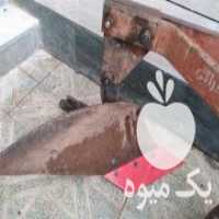 آگهی مشابه فروش گاوآهن سه گلا در کوهدشت در گروه خرید فروش ماشین آلات کشاورزی - تراکتور تیلر کمباین مدرن در یکمیوه