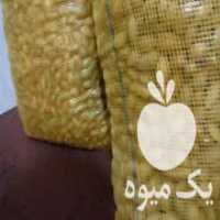 آگهی مشابه فروش بادام سنگی ارگانیک خرده و عمده در بابلسر در گروه بادام - درختی کوهی زمینی فروش عمده در یکمیوه