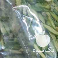 آگهی مشابه فروش خلال پسته در تهران در گروه پسته - کوهی شامی خام اکبری تازه کله قوچی در یکمیوه