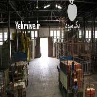 آگهی مشابه فروش سردخانه مجهز مهرشهر نگهداری انواع میوه و محصولات در تهران در گروه اجاره سردخانه - محصولات کشاورزی میوه صنعتی تنی در یکمیوه