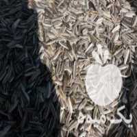 آگهی مشابه فروش تخمه آفتابگردان سنقر در بیجار در گروه خرید فروش عمده آفتابگردان - تخمه خوی دیم گل در یکمیوه