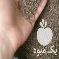 آگهی مشابه فروش گل گاوزبان در تهران در گروه خرید فروش عمده گیاهان زینتی - گرمسیری آپارتمانی باغچه آب در یکمیوه