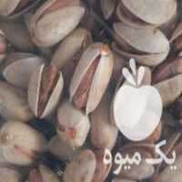 آگهی مشابه فروش پسته سفید بادامی عالی ارگانیک ضمانتی در فیض آباد در گروه بادام - درختی کوهی زمینی فروش عمده در یکمیوه