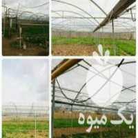 آگهی مشابه فروش سازه گلخانه در سمنان در گروه سازنده - گلخانه باغ مدرن سالن صنعتی سوله انبار در یکمیوه