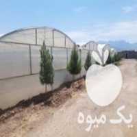 آگهی مشابه فروش سازه گلخانه دست دوم در اصفهان در گروه سازنده - گلخانه باغ مدرن سالن صنعتی سوله انبار در یکمیوه