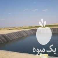 آگهی مشابه فروش استخر های ذخیره آب کشاورزی در اصفهان در گروه خرید فروش ابزار ها و تجهیزات کشاورزی - دستی برقی ماشینی بیل کلنگ در یکمیوه