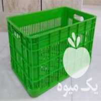 آگهی مشابه فروش سبد 20 کیلیویی در عنبران در گروه خرید فروش انواع سبد - میوه پلاستیکی چوبی گل در یکمیوه