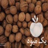 آگهی مشابه فروش گردو محلی کاغذی در اسدآباد در گروه گردو - کاغذی سنگی سوزنی خوشه ای توسرکان در یکمیوه