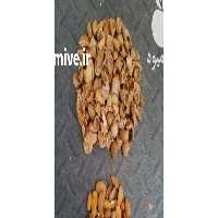 آگهی مشابه فروش بادام سنگی اعلا در اهواز در گروه بادام - درختی کوهی زمینی فروش عمده در یکمیوه