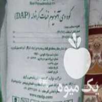 آگهی مشابه فروش کود دی امونیوم فسفات رازی کود سیاه تریپل در آزادشهر در گروه خرید فروش کود و مواد شیمیایی - اوره پتاس مرغی کمپوست آهن در یکمیوه