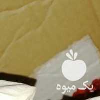 آگهی مشابه فروش زرشک پفکی قائنات در تهران در گروه خرید فروش عمده ازگیل و تمشک و زرشک - ژاپنی فروش مستقیم در یکمیوه