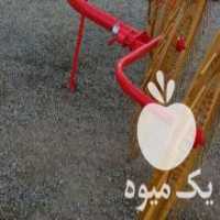 آگهی مشابه فروش ریگ قابلیت جمع آوری انواع علوفه در تبریز در گروه خرید فروش ابزار ها و تجهیزات کشاورزی - دستی برقی ماشینی بیل کلنگ در یکمیوه