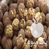 آگهی مشابه فروش گردوی تویسرکان درجه یک در تجریش در گروه گردو - کاغذی سنگی سوزنی خوشه ای توسرکان در یکمیوه