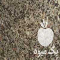 آگهی مشابه فروش دانه خالص بذر خارشتر در احمدآباد در گروه خرید فروش بذر - انواع محصول کشاورزی گوجه کتان میوه درخت در یکمیوه