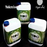 آگهی مشابه فروش کود مولتی آنزیم و ارگانیک MOG در قم در گروه خرید فروش کود و مواد شیمیایی - اوره پتاس مرغی کمپوست آهن در یکمیوه
