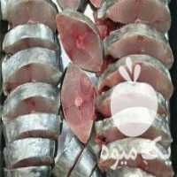 آگهی مشابه فروش انواع ماهی های صید روز خلیج فارس در شیراز در گروه انواع ماهی - سالمون شیر کپور قرمز شوریده سفید گوپی مرکب در یکمیوه