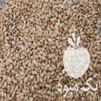 آگهی مشابه فروش عمده انواع بادام و گردو در تهران در گروه بادام - درختی کوهی زمینی فروش عمده در یکمیوه