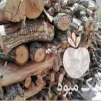 آگهی مشابه فروش خریدار چوب زغالی  ،   باغی در گروه خرید فروش عمده چوب- زغال چوب گردو تبریزی خام در یکمیوه