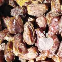 آگهی مشابه فروش خرما در بوشهر در گروه خرید فروش عمده خرما - کبکاب تازه زاهدی خشک خارک در یکمیوه