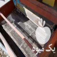آگهی مشابه فروش خرمنکوب دهقان صنعت در ابهر در گروه خرید فروش ابزار ها و تجهیزات کشاورزی - دستی برقی ماشینی بیل کلنگ در یکمیوه