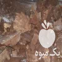 آگهی مشابه فروش قارچ گانودرما قرمز در تهران در گروه خرید فروش عمده قارچ - دکمه ای خوراکی دارویی پرورشی کوهی در یکمیوه