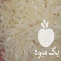 آگهی مشابه فروش برنج فجر سوزنی در علی آباد در گروه خرید فروش عمده برنج - نیم دانه عنبر بو هاشمی کاظمی هندی پاکستانی در یکمیوه