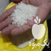 آگهی مشابه فروش برنج فجر سوزنی در گرگان در گروه خرید فروش عمده برنج - نیم دانه عنبر بو هاشمی کاظمی هندی پاکستانی در یکمیوه