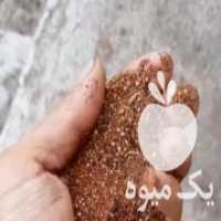 آگهی مشابه فروش خوراک دام ارسال به سراسر ایران در تبریز در گروه خوراک دام و طیور - پرواری شیری علوفه یونجه در یکمیوه