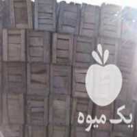 آگهی مشابه فروش 500 عدد جعبه 20 کیلویی چوبی در ساری در گروه خرید فروش عمده پرتقال - پرتقال رسمی تامسون خونی جنوب در یکمیوه