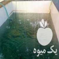 آگهی مشابه فروش پخش ماهی قزل و سالمون در سراسر کرج در کمال شهر در گروه مشاوره - راه اندازی بازاریابی کسب درآمد بهبود کسب و کار در یکمیوه