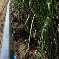 آگهی مشابه فروش لوله های هیدروفلوم-کارخانه لوله هیدروفلووم-قیمت هیدرو? در هرمز در گروه خرید فروش اتصالات و تجهیزات آبیاری - شیر لوله نوار در یکمیوه