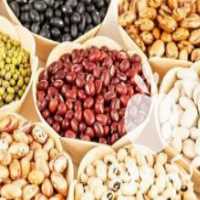 آگهی مشابه خریدار انواع حبوبات در الیگودرز در گروه خرید فروش عمده نخود - فرنگی خام سبز فروش عمده در یکمیوه