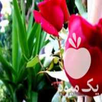 آگهی مشابه فروش انواع گل های آپارتمانی و باغچه ای و طراحی فضای سبز در تهران در گروه سازنده - گلخانه باغ مدرن سالن صنعتی سوله انبار در یکمیوه